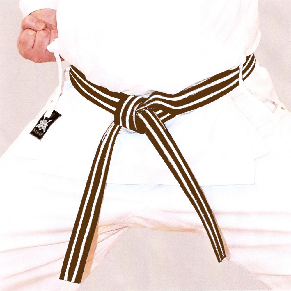 Brown and Two White Stripe Belt KUGB Shotokan Karate Ivybridge Devon
