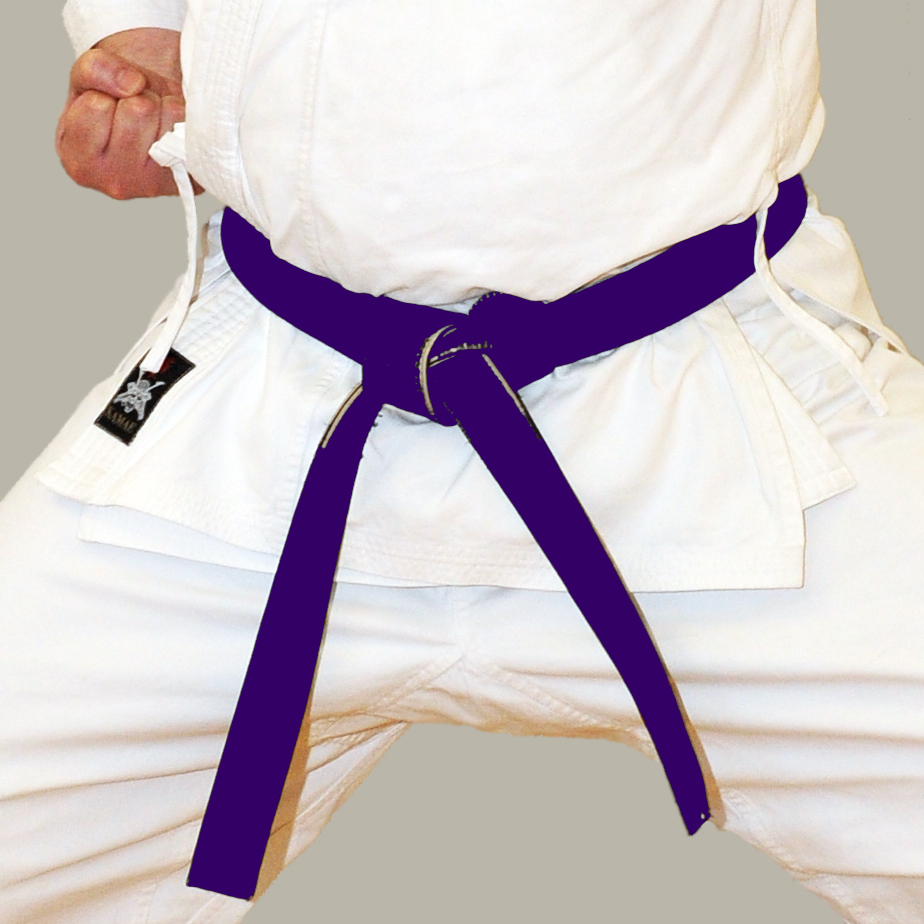 Purple Belt Shotokan Karate Ivybridge Devon